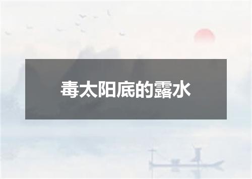 毒太阳底的露水