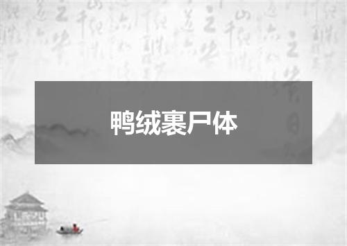 鸭绒裹尸体