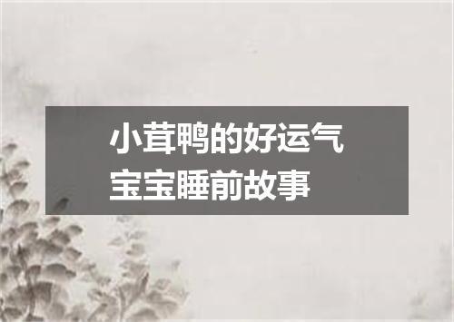 小茸鸭的好运气宝宝睡前故事